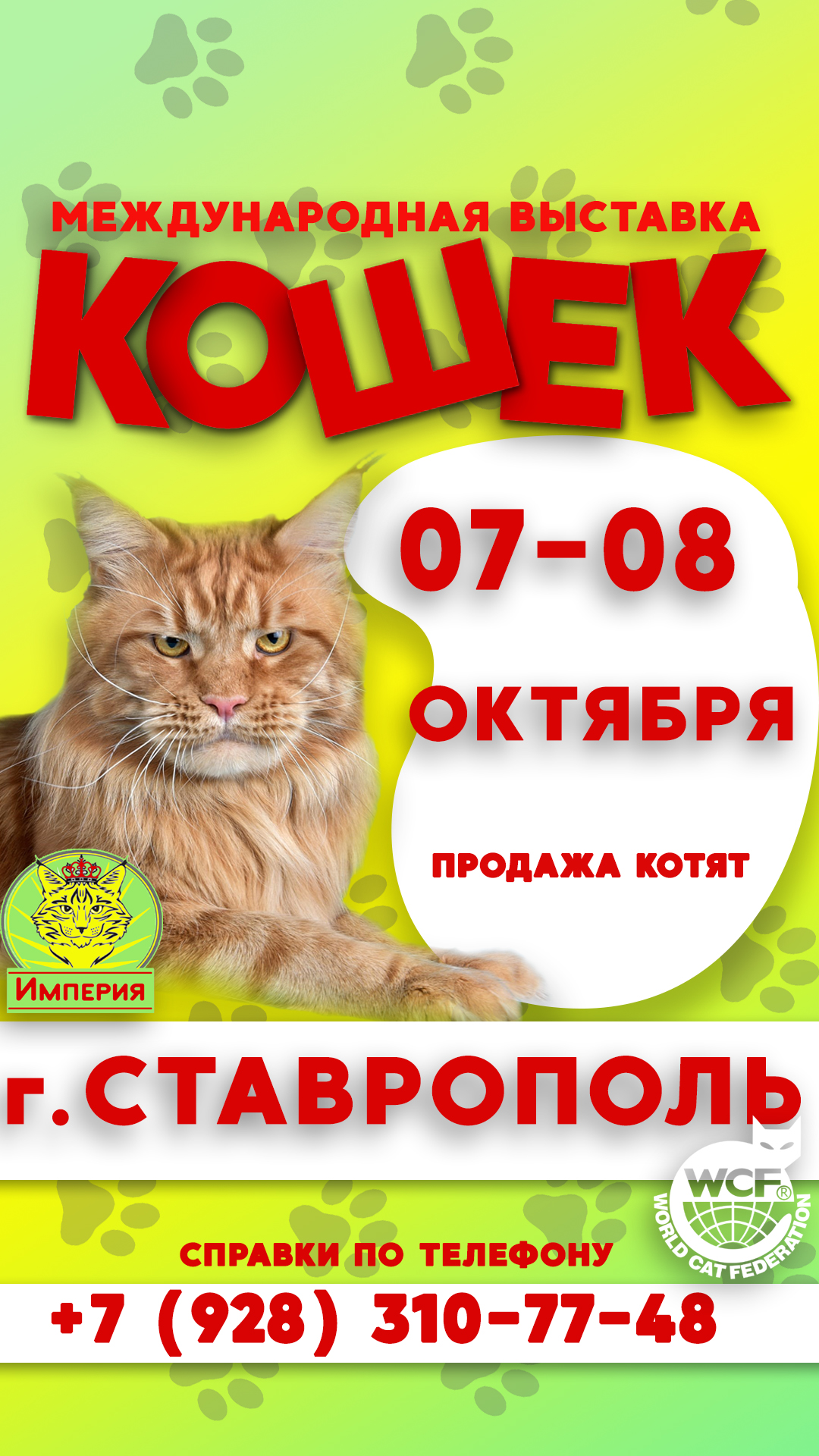 Выставка кошек Ставрополь